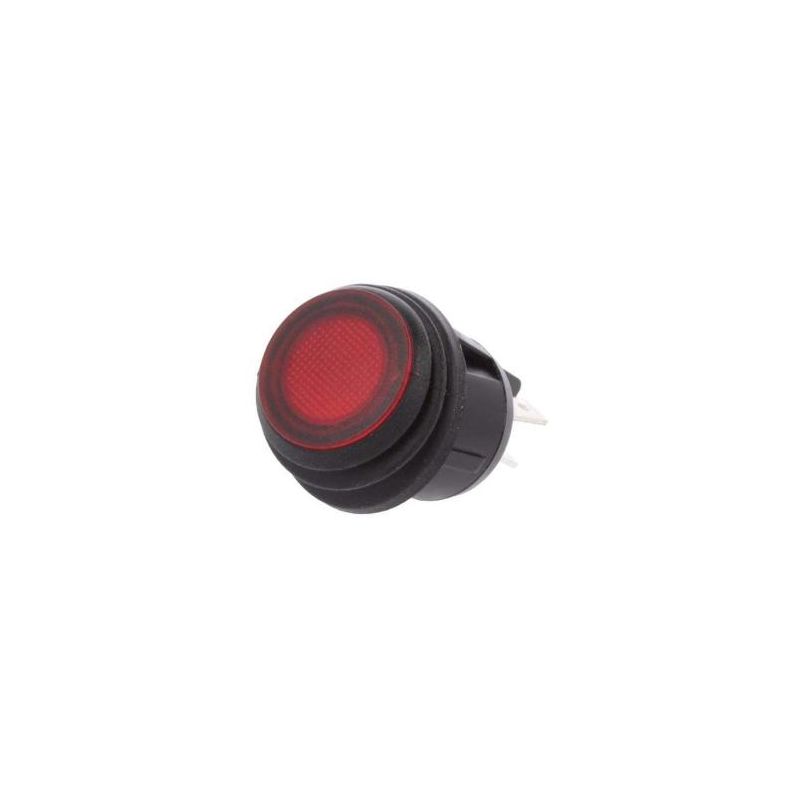 Shin Chin R13-244B8