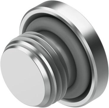 Festo 8085673 Plug screw NPQR-BK-G18