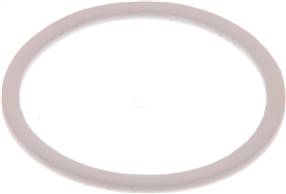 Landefeld DNT 112 DI TE Landefeld DNT 112 DI TE — Spare gasket (R / Rp 1-1/2") 62,0x53,0x2,0, PTFE