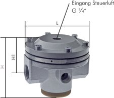 Landefeld DRI 8840 Landefeld DRI 8840 — STANDARD pressure regulator (volume booster) G 2", Standard 8