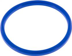 Landefeld DNMA 21265 NBR Landefeld DNMA 21265 NBR — seal (dairy thread) DN 65, NBR (blue), 71x81x5mm