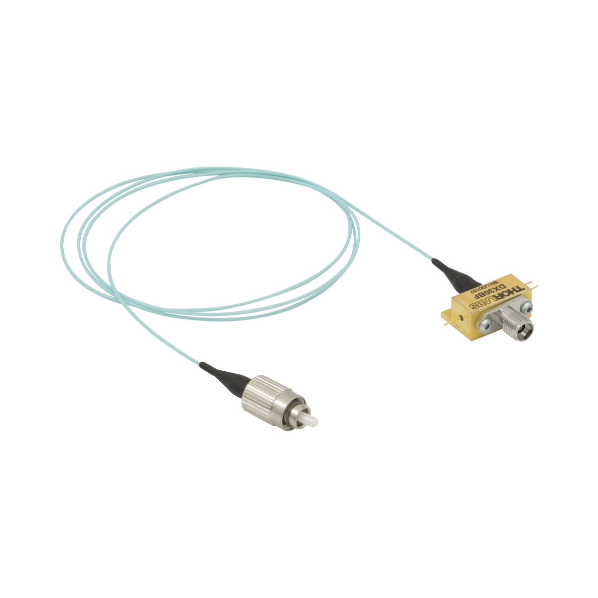 Thorlabs DX30BF