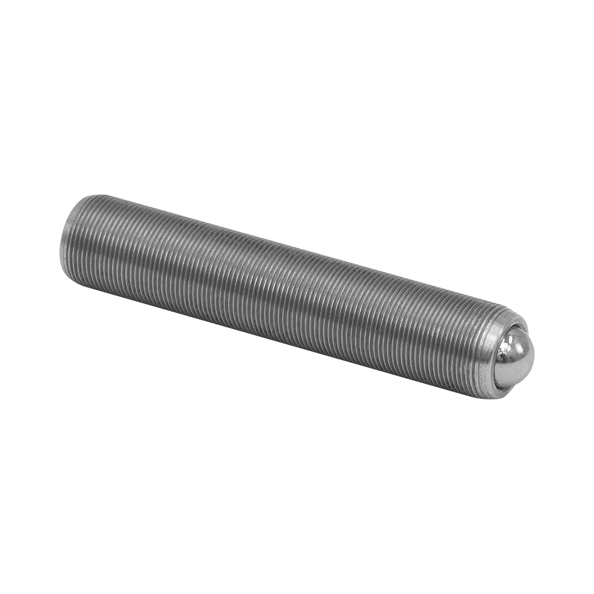 Thorlabs F19SS100