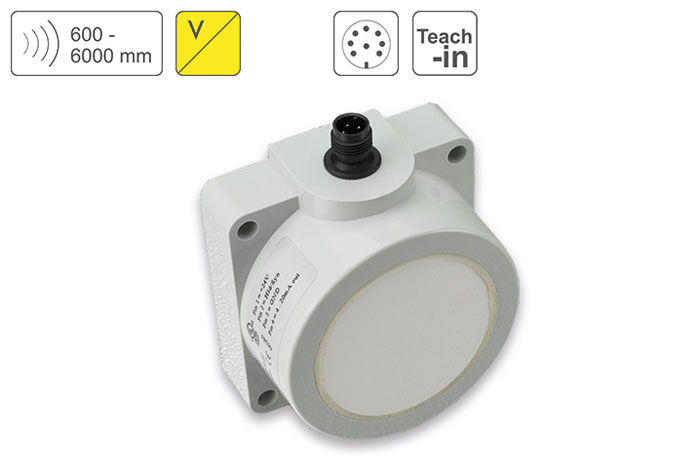 PIL Sensoren P43-600-Q50-PBT-U-CM12 PIL Sensoren P43-600-Q50-PBT-U-CM12 — Ultrasonic Distance Sensor
