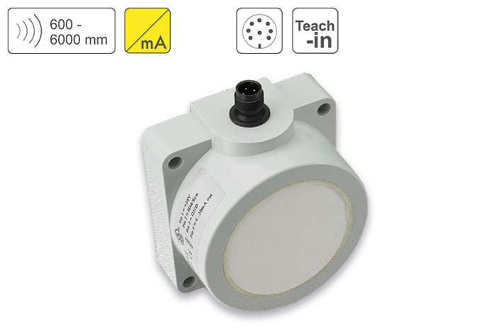 PIL Sensoren P43-600-Q50-PBT-I-CM12 PIL Sensoren P43-600-Q50-PBT-I-CM12 — Ultrasonic Distance Sensor