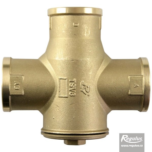 Regulus 12975 Regulus 12975 — Industrial Component