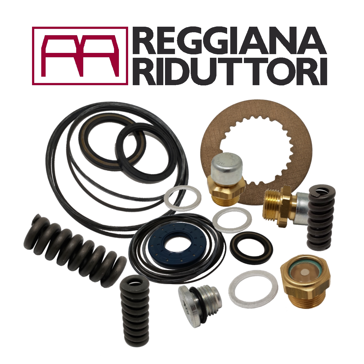 Reggiana Riduttori 154F6132