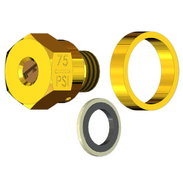 Bijur Delimon 71176