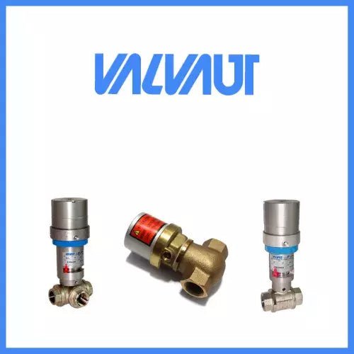 EFFEPI VALVAUT Z204113