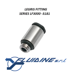 Legris 3181-06-55 Legris 3181-06-55 — 3181 06 55