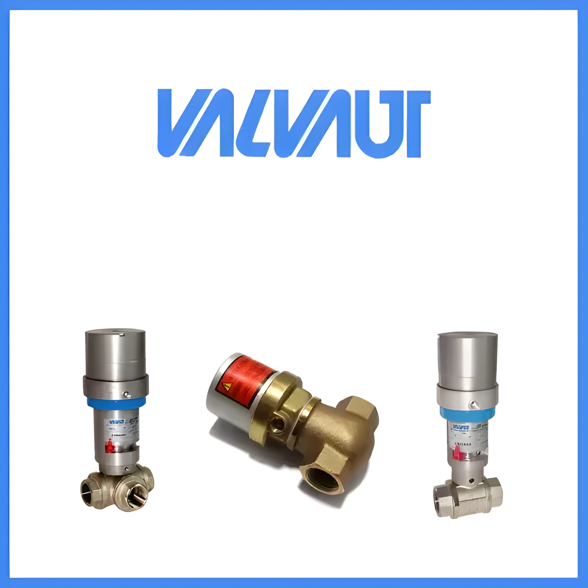 EFFEPI VALVAUT Z204413