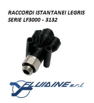 Legris 3132-06-13