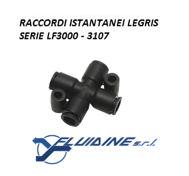 Legris 3107-06-04