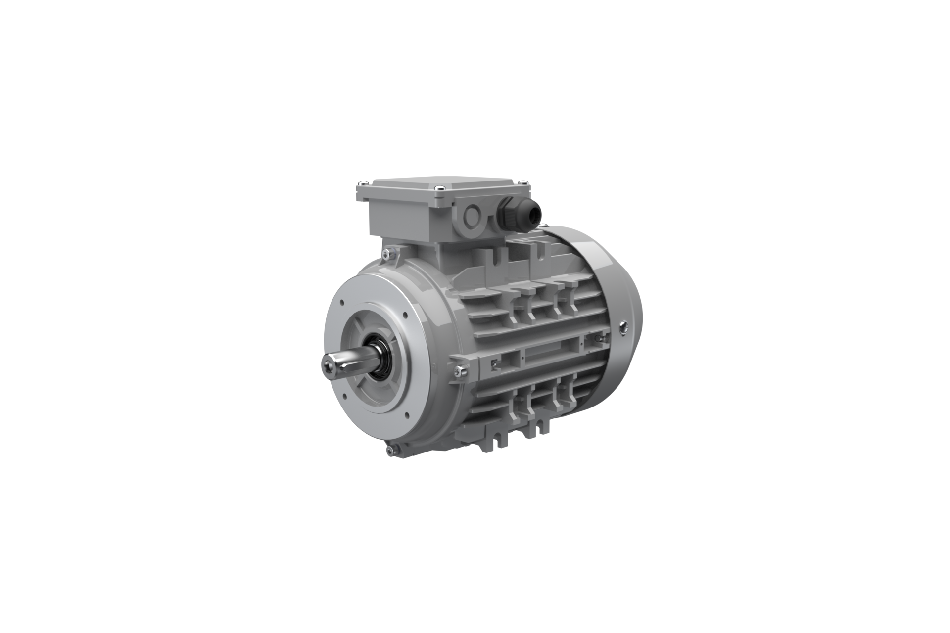 AC-Motoren ACMAAS4A021003G00000 AC-Motoren ACMAAS4A021003G00000 — Asynchronous-Motor ACM 100 L 2/SPE